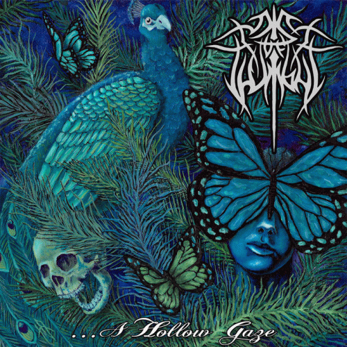 Mist Of Twilight : .​.​.​A Hollow Gaze